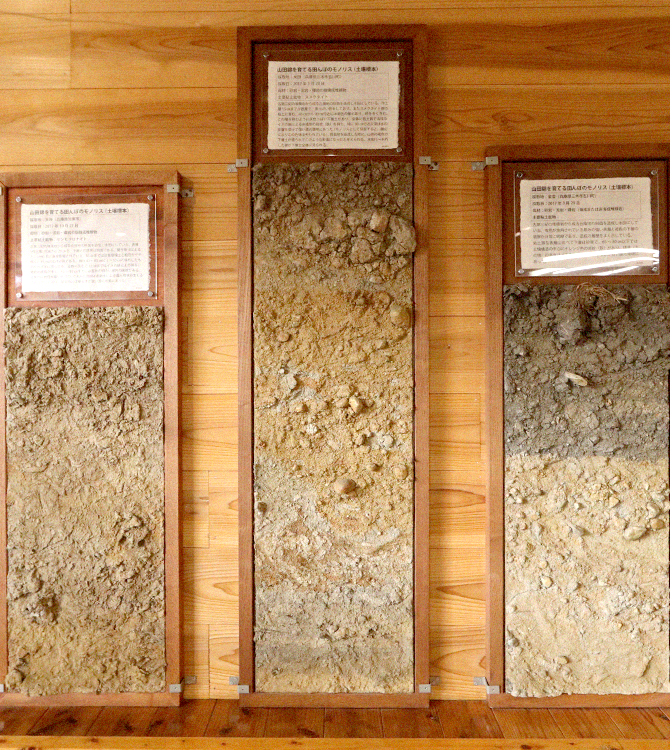 土壌の違い｜本田商店